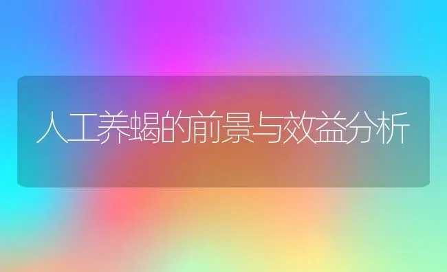 人工养蝎的前景与效益分析 | 动物养殖教程