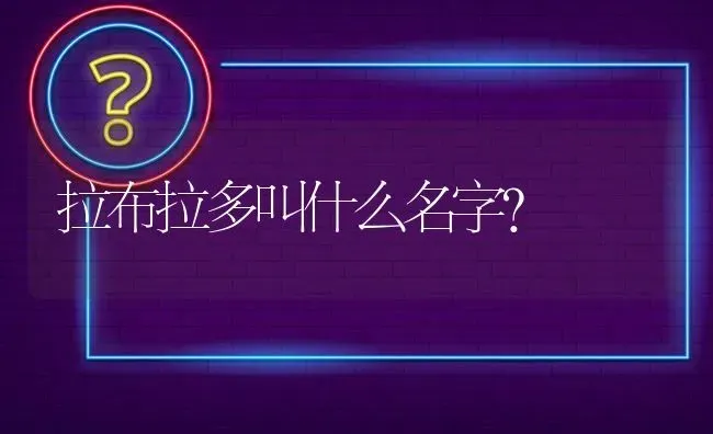 阿拉斯加几岁温顺？ | 动物养殖问答