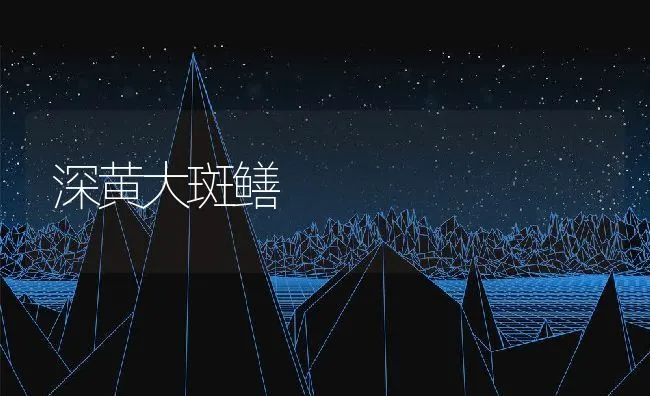 深黄大斑鳝 | 水产养殖知识