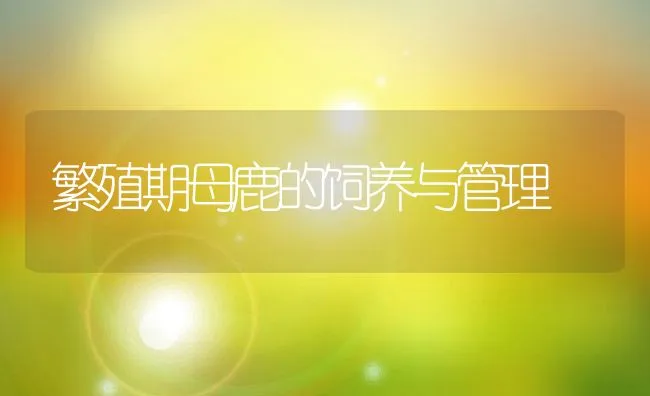 繁殖期母鹿的饲养与管理 | 动物养殖学堂