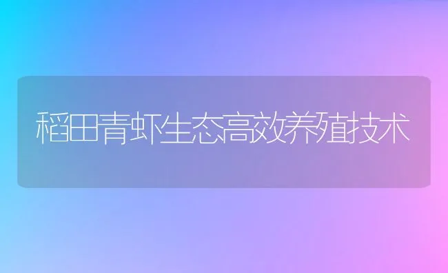 稻田青虾生态高效养殖技术 | 动物养殖饲料