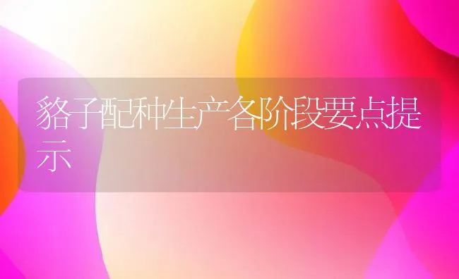 貉子配种生产各阶段要点提示 | 动物养殖学堂