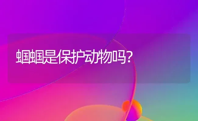 蝈蝈是保护动物吗？ | 动物养殖问答