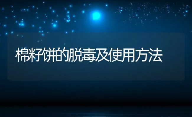 棉籽饼的脱毒及使用方法 | 动物养殖学堂