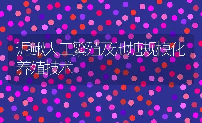 泥鳅人工繁殖及池塘规模化养殖技术 | 水产养殖知识