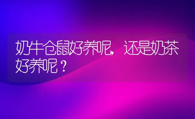 奶牛仓鼠好养呢，还是奶茶好养呢？ | 动物养殖问答