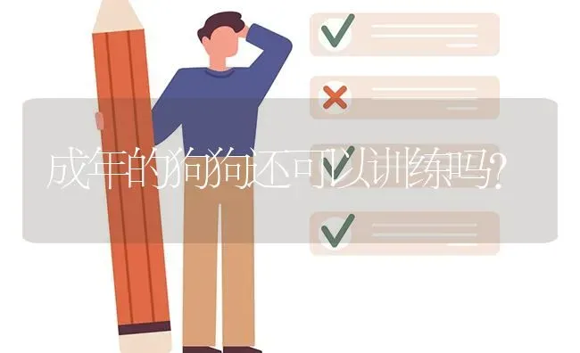 成年的狗狗还可以训练吗？ | 动物养殖问答