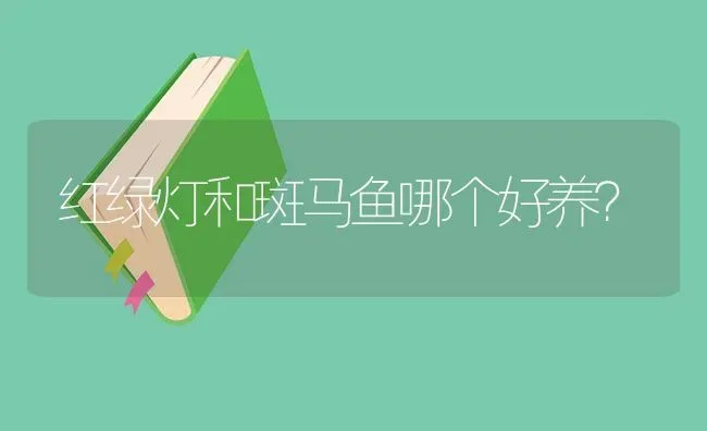 红绿灯和斑马鱼哪个好养？ | 鱼类宠物饲养