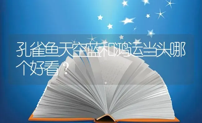 河南养殖鲤鱼地方在哪里？ | 鱼类宠物饲养