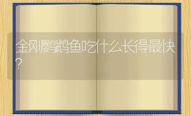 金刚鹦鹉鱼吃什么长得最快？ | 鱼类宠物饲养