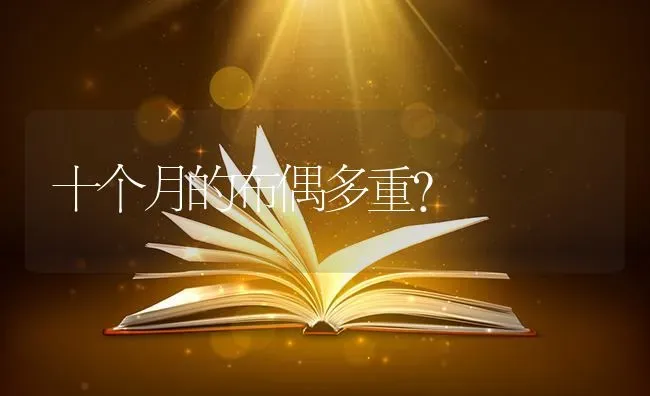 十个月的布偶多重？ | 动物养殖问答