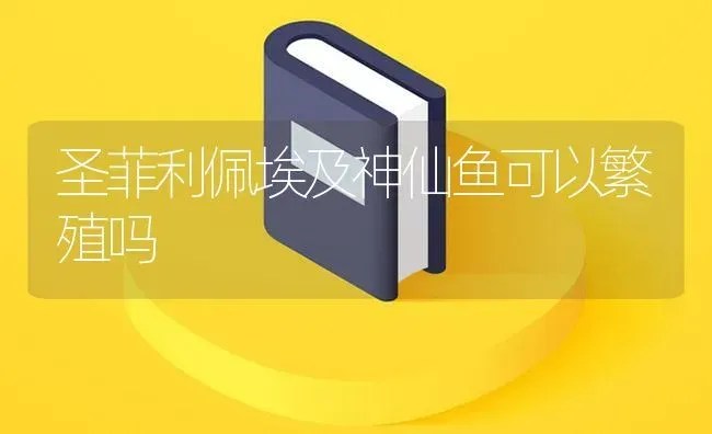 圣菲利佩埃及神仙鱼可以繁殖吗 | 鱼类宠物饲养