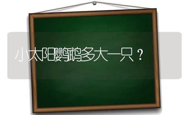 小太阳鹦鹉多大一只？ | 动物养殖问答