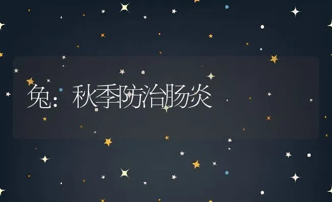 兔:秋季防治肠炎 | 动物养殖学堂