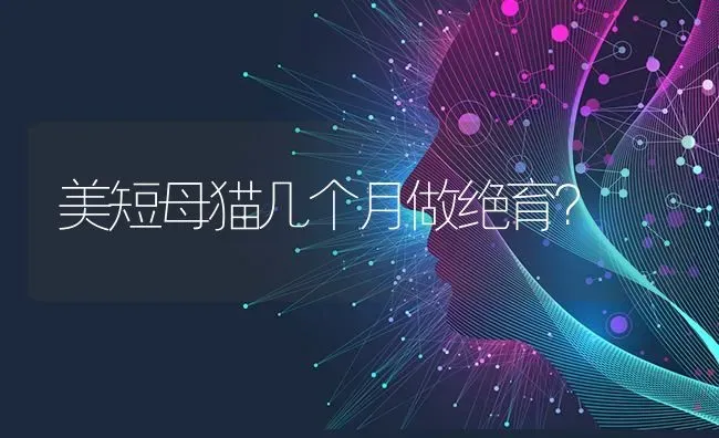 美短母猫几个月做绝育？ | 动物养殖问答