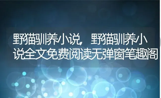 野猫驯养小说,野猫驯养小说全文免费阅读无弹窗笔趣阁 | 宠物百科知识