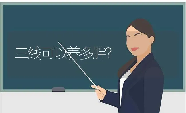 三线可以养多胖？ | 动物养殖问答