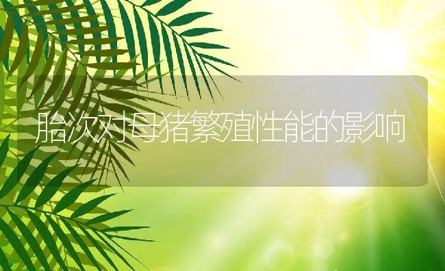 胎次对母猪繁殖性能的影响 | 动物养殖学堂