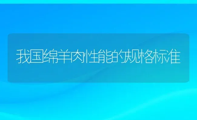 我国绵羊肉性能的规格标准 | 家畜养殖技术