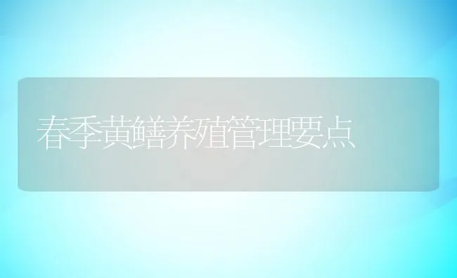 春季黄鳝养殖管理要点 | 水产养殖知识