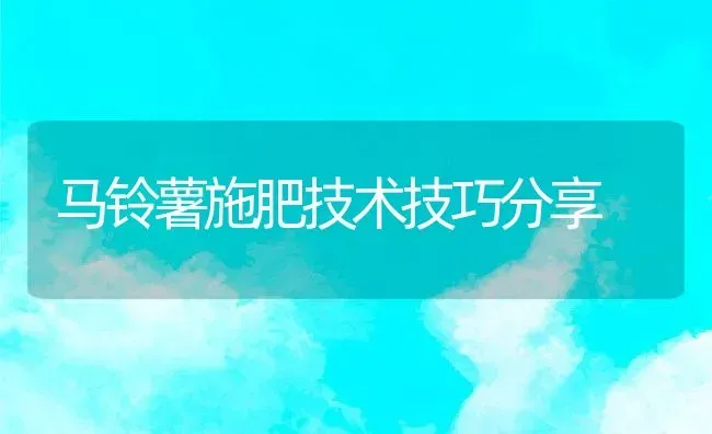 马铃薯施肥技术技巧分享 | 动物养殖教程