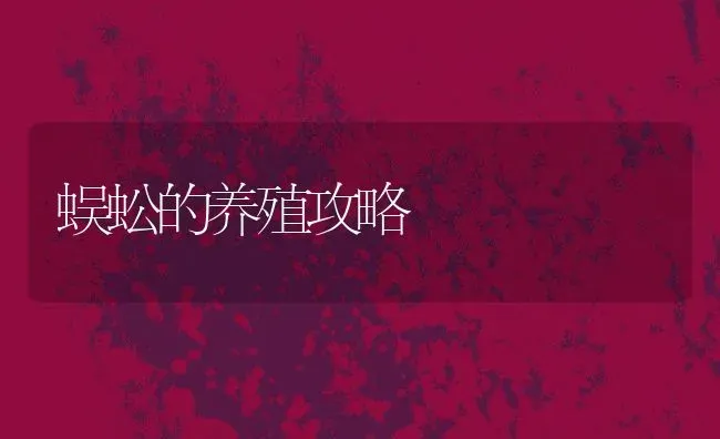 蜈蚣的养殖攻略 | 动物养殖百科