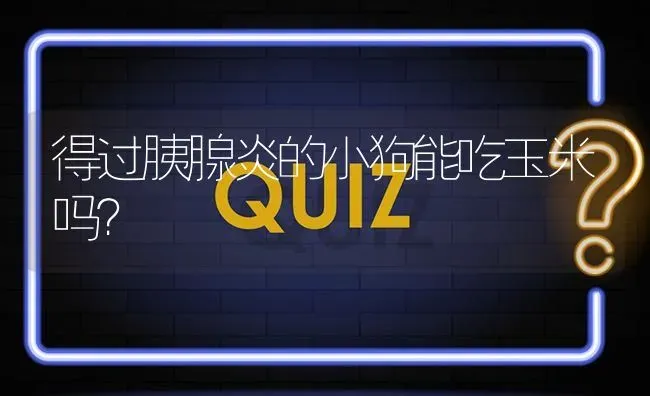 得过胰腺炎的小狗能吃玉米吗？ | 动物养殖问答