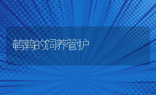 鹌鹑的饲养管护 | 水产养殖知识