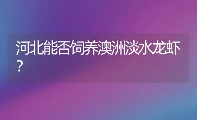 河北能否饲养澳洲淡水龙虾？ | 动物养殖百科