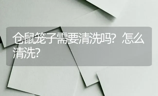 仓鼠笼子需要清洗吗?怎么清洗？ | 动物养殖问答