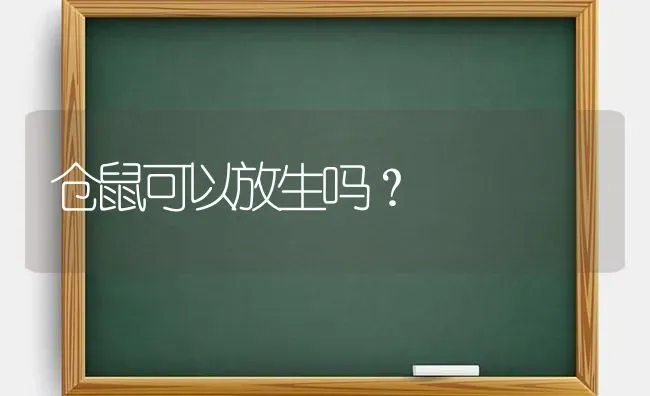 仓鼠可以放生吗？ | 动物养殖问答