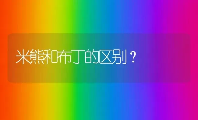 米熊和布丁的区别？ | 动物养殖问答