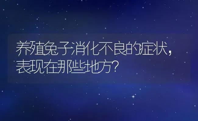 养殖兔子消化不良的症状，表现在那些地方？ | 动物养殖百科