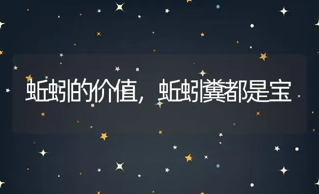 蚯蚓的价值，蚯蚓糞都是宝 | 动物养殖百科