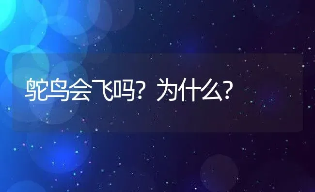 鸵鸟会飞吗？为什么？ | 动物养殖百科