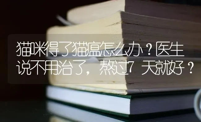 猫咪得了猫瘟怎么办？医生说不用治了，熬过7天就好？ | 动物养殖问答