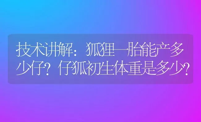 技术讲解:狐狸一胎能产多少仔？仔狐初生体重是多少？ | 动物养殖百科