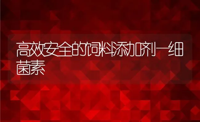 常规渔池如何植藕养鳝 | 动物养殖饲料