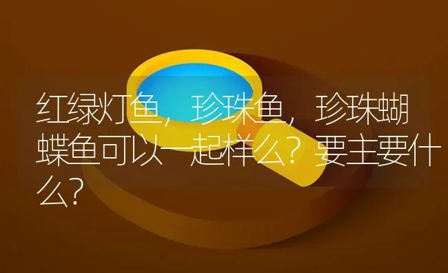 红绿灯鱼，珍珠鱼，珍珠蝴蝶鱼可以一起样么？要主要什么？ | 鱼类宠物饲养