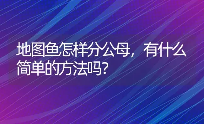 地图鱼怎样分公母，有什么简单的方法吗？ | 鱼类宠物饲养