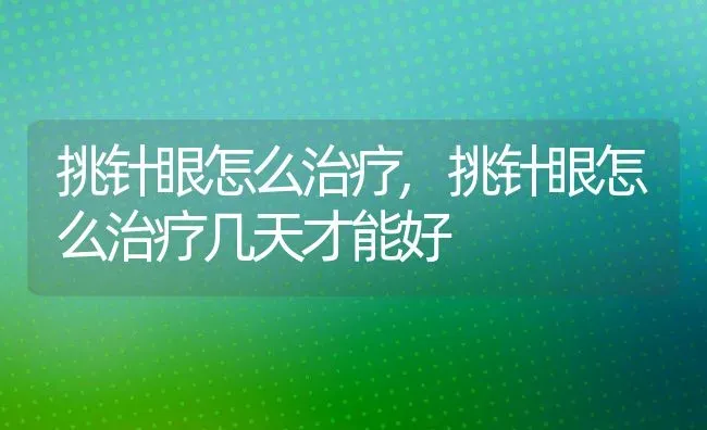 挑针眼怎么治疗,挑针眼怎么治疗几天才能好 | 宠物百科知识