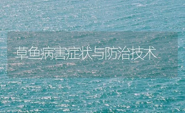 草鱼病害症状与防治技术 | 海水养殖技术