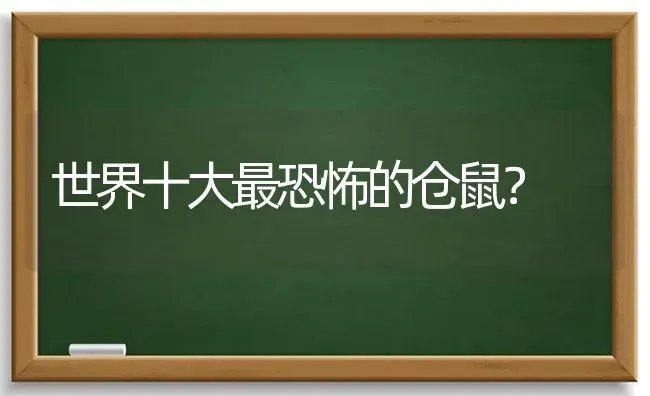 世界十大最恐怖的仓鼠？ | 动物养殖问答