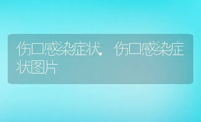 伤口感染症状,伤口感染症状图片 | 宠物百科知识