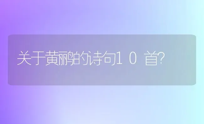 关于黄鹂的诗句10首？ | 动物养殖问答