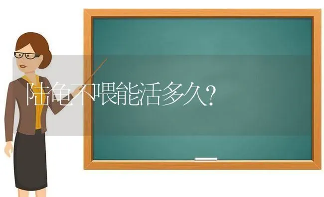 陆龟不喂能活多久？ | 动物养殖问答