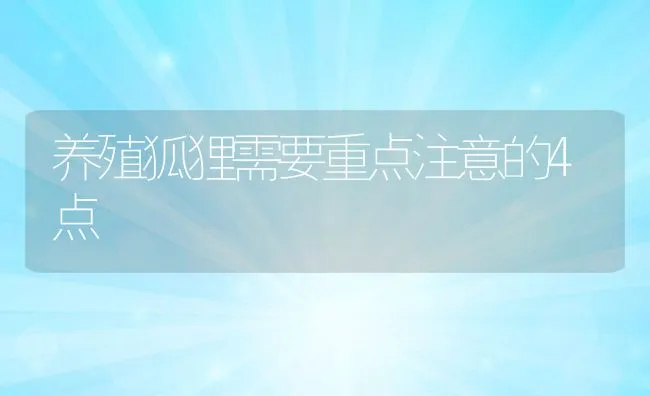 养殖狐狸需要重点注意的4点 | 水产养殖知识