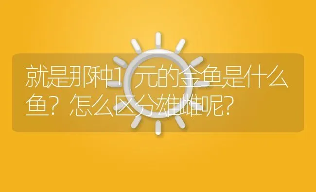 就是那种1元的金鱼是什么鱼？怎么区分雄雌呢？ | 鱼类宠物饲养