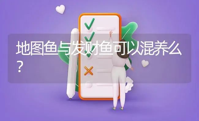 地图鱼与发财鱼可以混养么？ | 鱼类宠物饲养