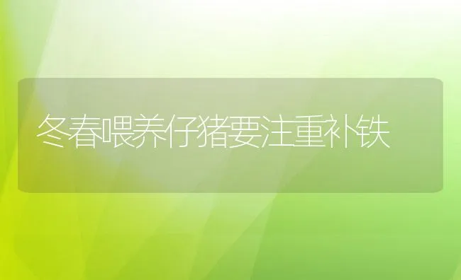 冬春喂养仔猪要注重补铁 | 动物养殖饲料